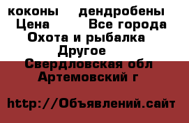 коконы    дендробены › Цена ­ 25 - Все города Охота и рыбалка » Другое   . Свердловская обл.,Артемовский г.